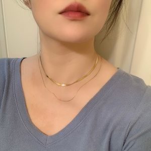 Titanium Steel Double Layer Snake Bone Chain Necklace